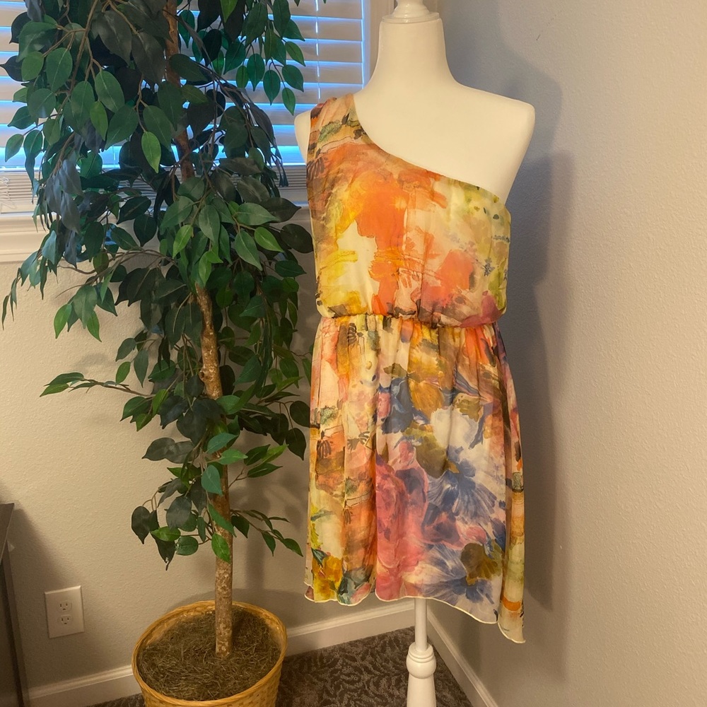 Charlotte Russe Dress